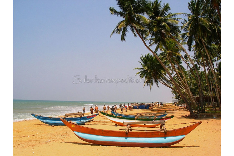 Wadduwa city image-1